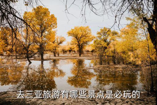 海口三亚旅游攻略必去景点，去三亚旅游有哪些景点是必玩的