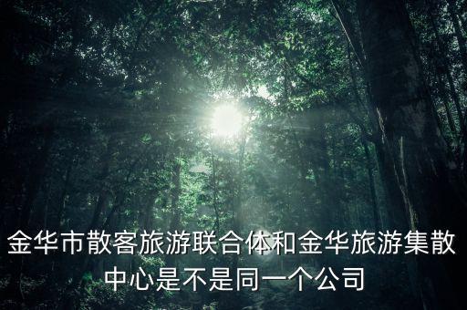 金华旅游网logo，做旅游网站标志大家给点建议