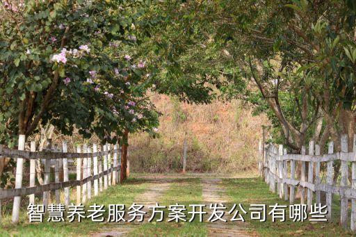 智慧养老服务方案开发公司有哪些