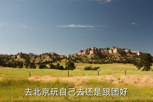 北京旅游自己玩还是跟团游好，去北京旅游跟当地团划算还是自己游划算
