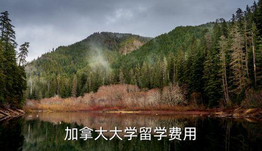 加拿大大学留学费用
