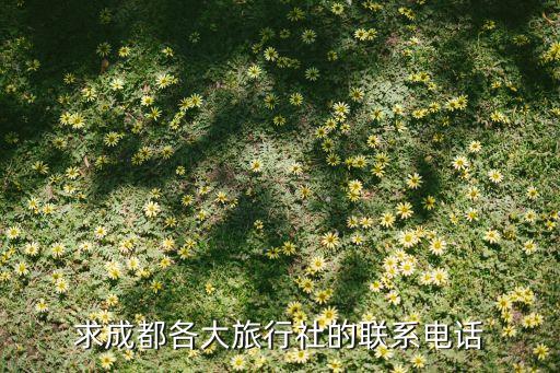 四川省青年旅行社锦华分社电话，请多提供一些成都当地的旅行社名单和联络方式