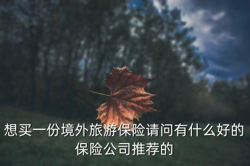 想买一份境外旅游保险请问有什么好的保险公司推荐的