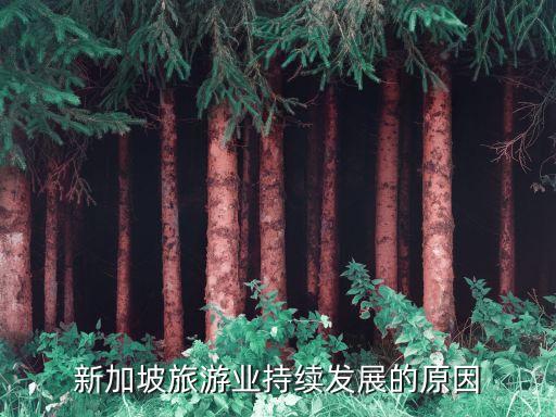 新加坡旅游发展迅速的原因，新加坡旅游业持续发展的原因