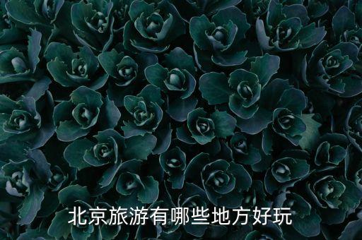 北京旅游有哪些地方好玩