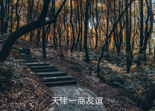 联合商报社，什么地方能买到中国联合商报