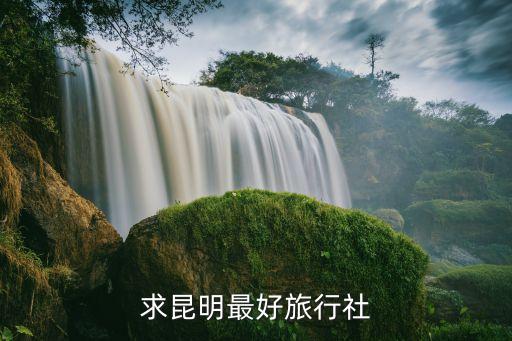 求昆明最好旅行社