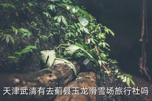 天津武清有去蓟县玉龙滑雪场旅行社吗