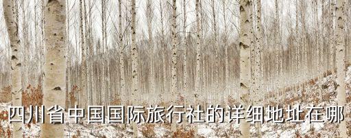中国成都旅行社有限公司，成都中国旅行社好不好