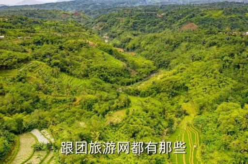 跟团旅游网站有哪些，旅游软件都有什么可以跟团走之类的那个信誉比较高