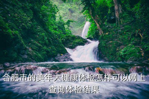 合肥市的美年大健康体检怎样可以网上查询体检结果