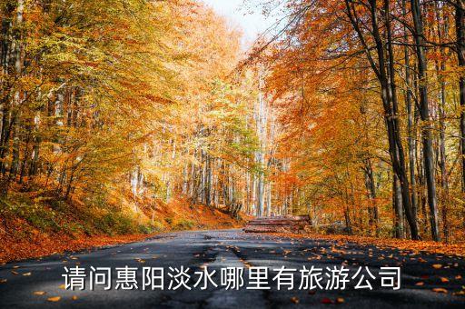 请问惠阳淡水哪里有旅游公司