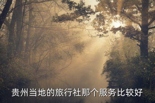 贵州当地的旅行社那个服务比较好