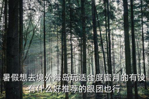 暑假想去境外海岛玩适合度蜜月的有没有什么好推荐的跟团也行
