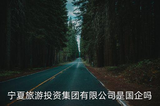 宁夏旅游投资集团有限公司是国企吗