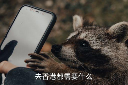 去香港都需要什么
