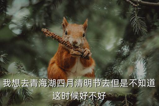 我想去青海湖四月清明节去但是不知道这时候好不好