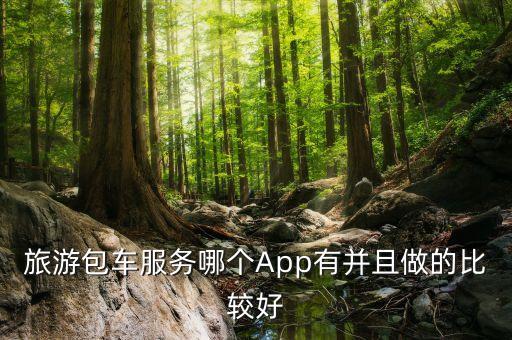 包车旅游哪个平台最好，旅游包车服务哪个App有并且做的比较好