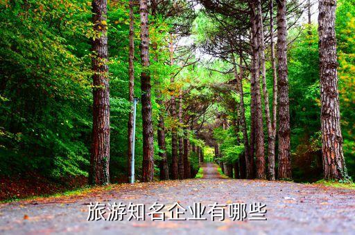 旅游知名企业有哪些