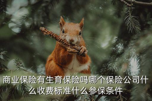 商业保险公司有生育保险吗，商业保险中有没有一个险种是保障生育的