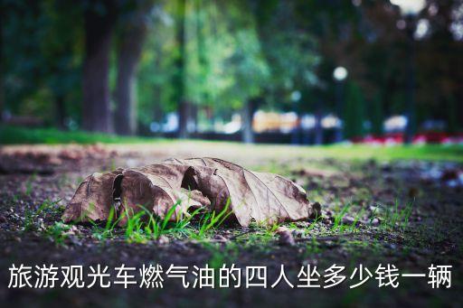 四人自行车旅游观光车图片，旅游观光车燃气油的四人坐多少钱一辆
