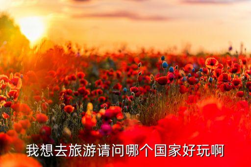 我想去旅游请问哪个国家好玩啊