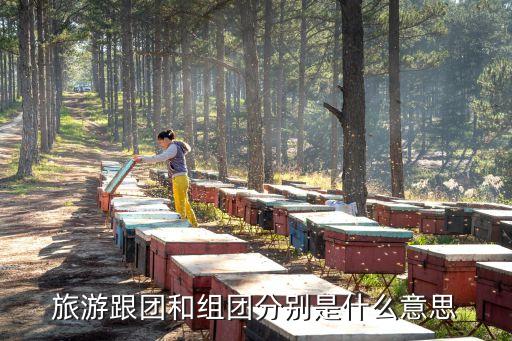 旅游跟团和组团分别是什么意思