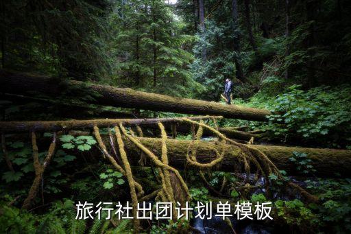 旅行社行程单模板，旅行社行程单模板是