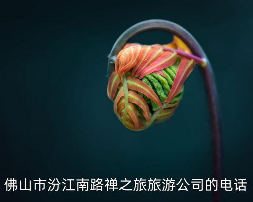 佛山市汾江南路禅之旅旅游公司的电话