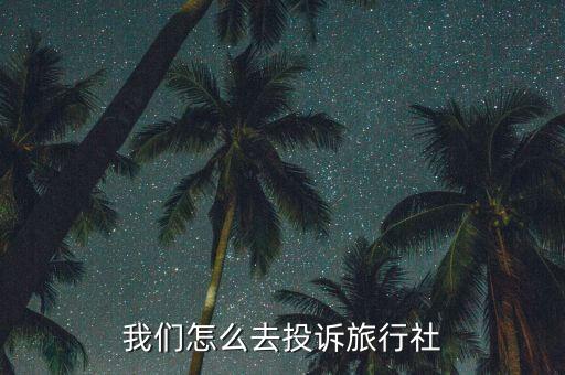 我们怎么去投诉旅行社