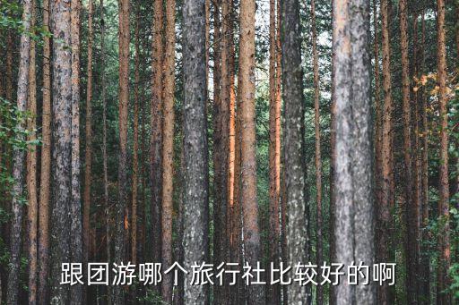 平南旅行社跟团游，平南县有什么旅游社