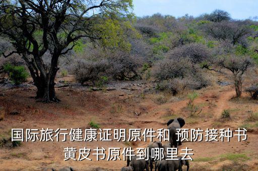 国际旅行健康证明原件和 预防接种书黄皮书原件到哪里去