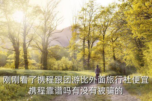 刚刚看了携程跟团游比外面旅行社便宜携程靠谱吗有没有被骗的