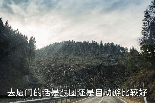 去厦门的话是跟团还是自助游比较好