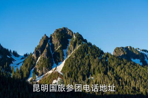 昆明旅行社国际有限公司电话地址，昆明国旅免费电话