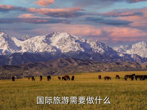 国际旅游需要做什么