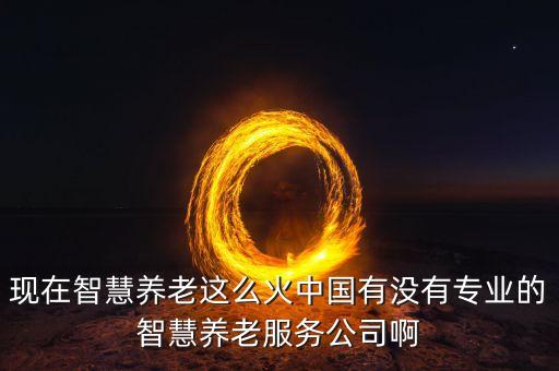 现在智慧养老这么火中国有没有专业的智慧养老服务公司啊