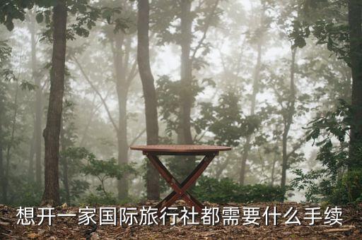 想开一家国际旅行社都需要什么手续