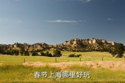 春天上海适合旅游的地方，春季上海哪里风景最好