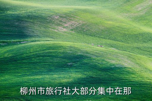 柳州市旅行社大部分集中在那