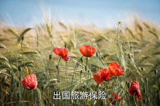 出国旅游保险