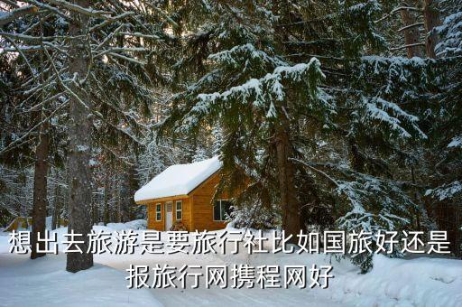 想出去旅游是要旅行社比如国旅好还是报旅行网携程网好