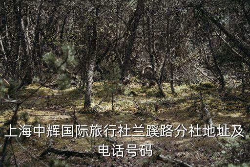 上海旅行社电话号码多少，想要到上海国际旅行社报名旅游地点或者电话是什么