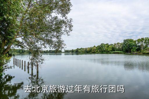去北京旅游过年有旅行团吗