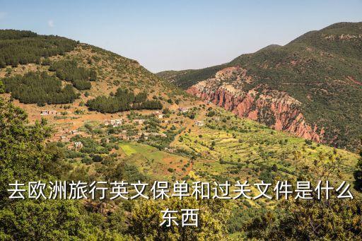 去欧洲旅行英文保单和过关文件是什么东西