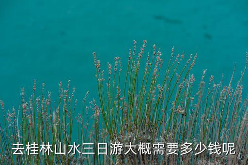 去桂林山水三日游大概需要多少钱呢