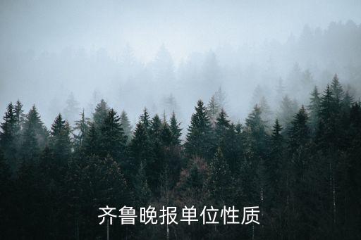 齐鲁晚报单位性质