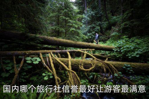 中国最好的旅行社排名前十位，旅游公司排名最好的是哪个