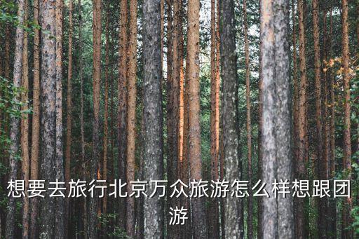 万众旅游公司咋样，万众旅游怎样样