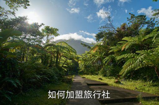 如何加盟旅行社
